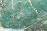 Polished Fuchsite Chert (Dragon Stone) Slab - Australia #89971-1